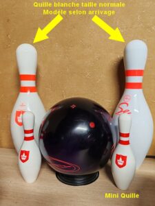 Quilles blanches (taille normale) avec les minis quilles et une boule