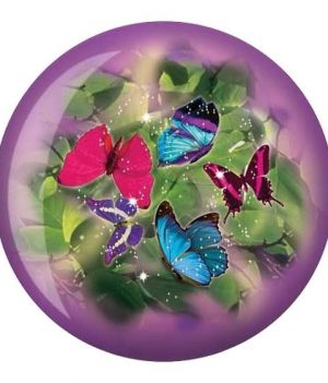 Butterfly (papillon)