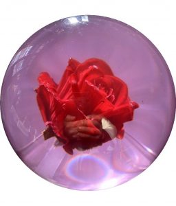 SpareFantasy Rose Clear