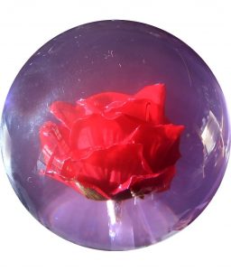 SpareFantasy Rose Clear 3