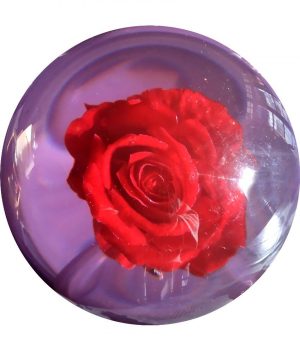 Rose Clear (Transparente)