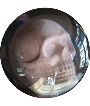 Tête de Mort (Transparente)