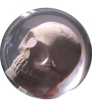 Tête de Mort (Transparente)