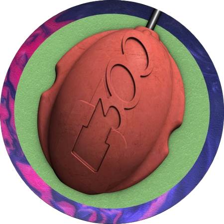 Messenger Rose/Purple