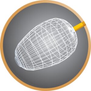 noyau ProBowl Challenger