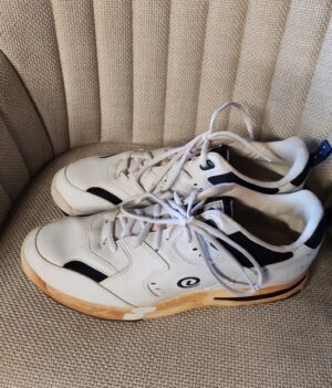 (Don) Chaussures Dexter Homme en 43.5 (US11)